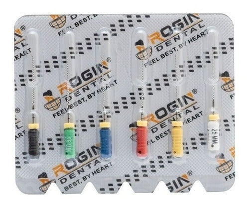 Rogin Flex Files Blister of 6 Units 31mm 0