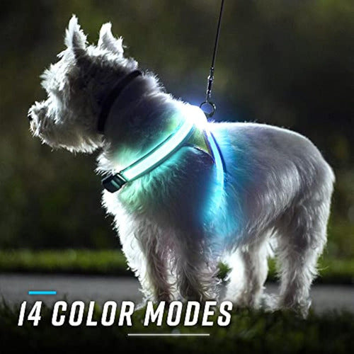 Noxgear Lighthound revolucionario Iluminado Y 5