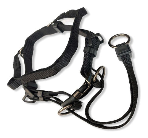 Eastland Adjustable Anti-Pull Dog Collar and Muzzle - Excellent Quality Halti 1