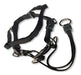 Eastland Adjustable Anti-Pull Dog Collar and Muzzle - Excellent Quality Halti 1