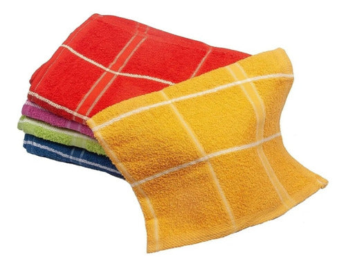 Set of 12 100% Cotton Dish Towels with Large Checkered Pattern 0
