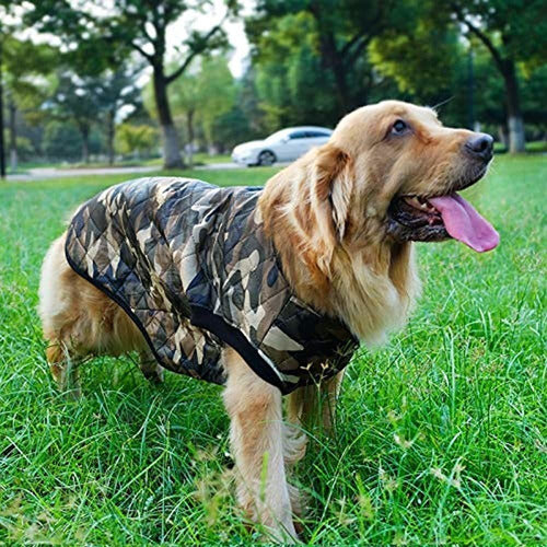 Innopet Ropa Para Perros Grandes, Chaqueta De Camuflaje Para 1