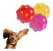 DOG TOYS Ball with Whistle and Legs for Pets 3