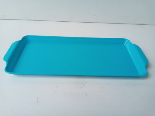 JL Plastic Tray for Pionono 5