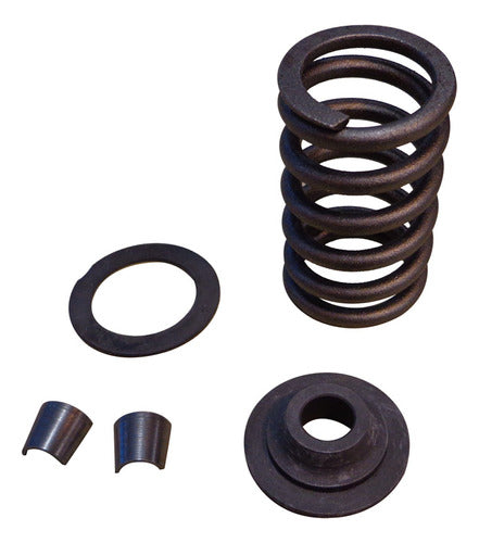 Aequipe Kit Resorte-plat-segur.valv. Motor F9q 0