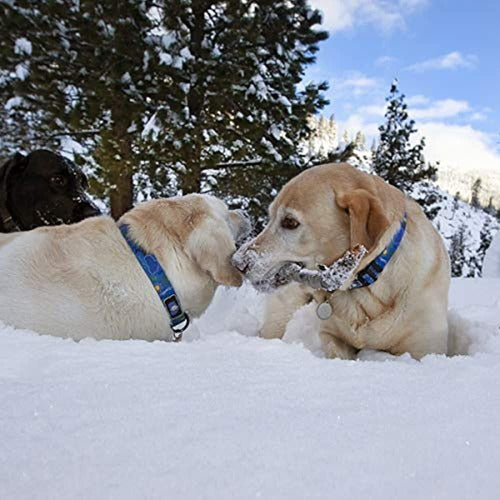 Correa De Perro Lake Tahoe 5