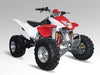 Guerrero Volante Magnetico Completo ATV 250R 1