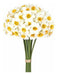 Martine Mall 12 Piece Artificial Narcissus Flowers 0