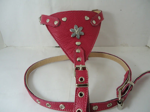 Small Dog Harness and Walking Chain for Breeds Like Poodle 6