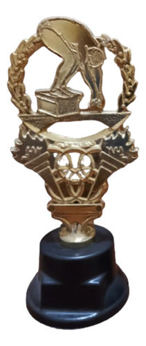 Trofeo Natacion / Oro / 16cm / Precios De Fabrica 0