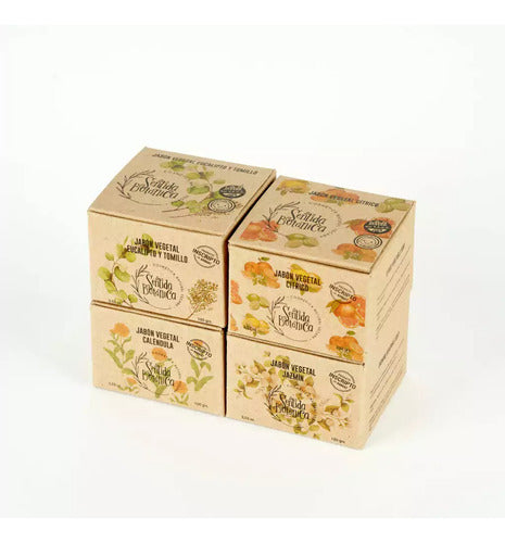 Sentida Botánica Vegan Vegetable Soap 100g - Classics 0