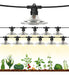 Espird Led Grow Lights for Outdoor Greenhouse 0