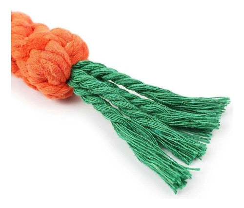 Set of Pet Toy Pullers: Braided Carrot Design + Knotted Rope 4