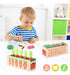 Kizburg 5 En 1 Object Permance Box, Juguetes Montessori De M 4