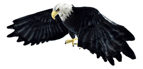 Imported Realistic Plush Eagle !! 0