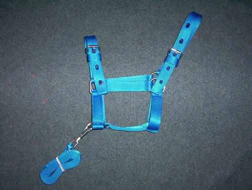 Bozal Nylon Para Caballo Potrillo Con Cabestro! 4