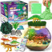 Regalos De Dinosaurios Para Niños, Kit De Terrario 0