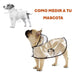 Piloto Capa Lluvia Impermeable Mascotas Transparente Talle 2 6