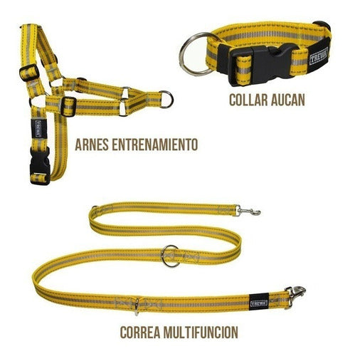 TREWA Arnés Anti-tirones + Collar + Correa Trewa - Talle M 0