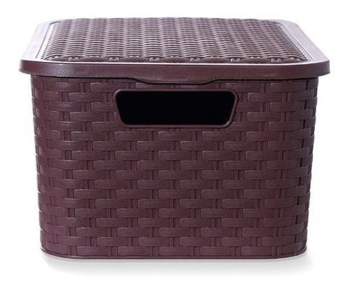 RUPOR SRL Medium Rattan-Look Plastic Storage Baskets Pack of 3 3