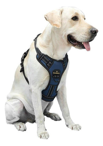 High-Quality Dog Harness and Collar in Blue and Black! 0