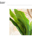 Out Planta Artificial Monstera + Maceta Banano Palmera 110 Cm 2