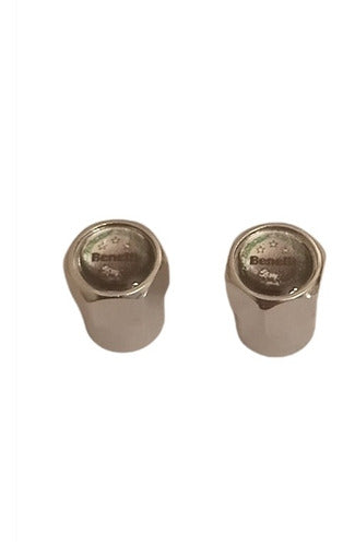 Myl Stainless Steel Tire Valve Caps X 2 - Imported 1