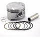 Bajaj Rouser 220 Kit Piston 67mm Perno 17mm 0.50 0