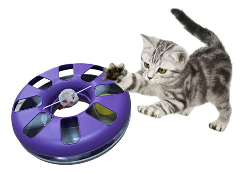 Model Interactive Cat Toy Circle with Mouse Ball 0