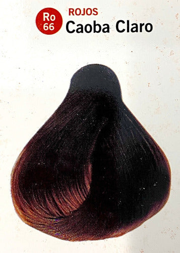 Hair Dye Sachet + Emulsion - Katalia 27