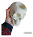 Superior Quality 3D Anatomical Skull Pencil Holder Gift 8