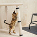 Adjustable Furniture Scratcher for Cats 3