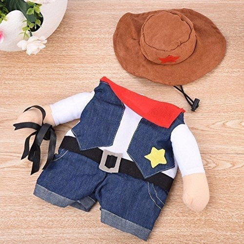 Meihejia Cowboy Jacketlion Mane Super Cute Costumes for Pets 2