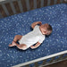 Lambs & Ivy Sky Rocket Blue Stars/galaxy/space 100% Algodón 1