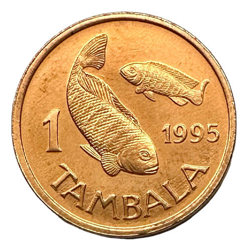 Malawi - 1 Tambala - Year 1995 - Km #33 - Africa - Fish 0