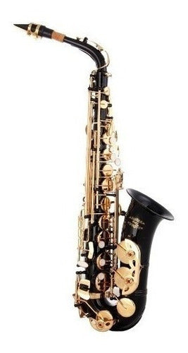 Saxofon Alto Negro Glory Con Funda Y Accesorios (xmp) (2j7k) 2