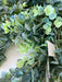 ambient.artedeco Eucalyptus Climber or Guide 185cm - Artificial Plants 1