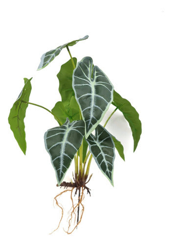 Artificial Monstera Swiss Cheese Plant with Roots 0