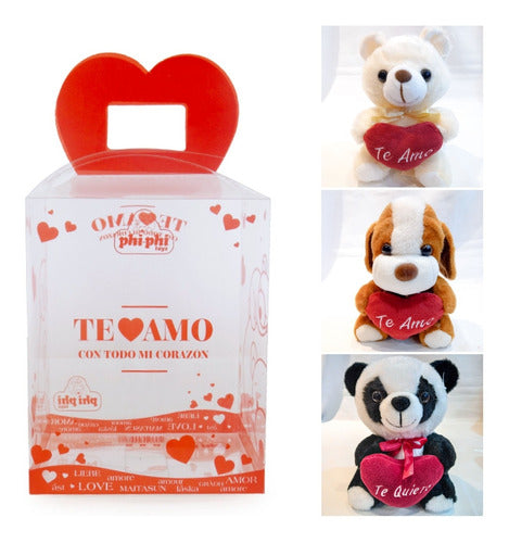 Teddy Bear with Heart + Gift Box - Valentine's Day Souvenir 0