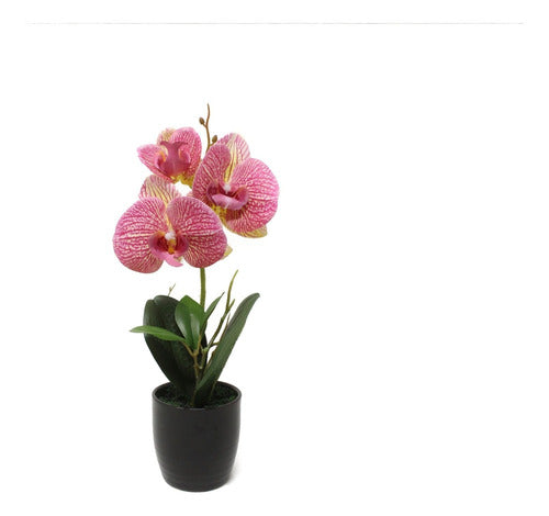 Artificial Orchid with Ceramic Planter 6