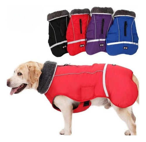 Ropa Para Perro Invierno 69cm 3xl Dif. Colores Mas Envio 0