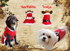 Christmas Suit Clothing for Small to Medium Pets 24