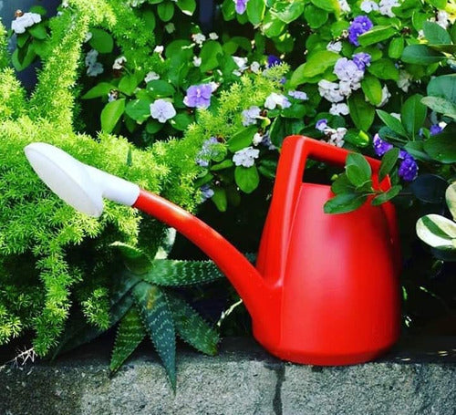 Plastic Watering Can with Removable Flower 6 Liters for Irrigation - Up! 1