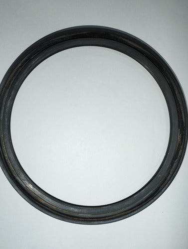 2 DBH 5479 Trailer Helvética Reforma Double Lip Seals 2