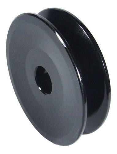 Dipra Alternator Pulley 200073 0