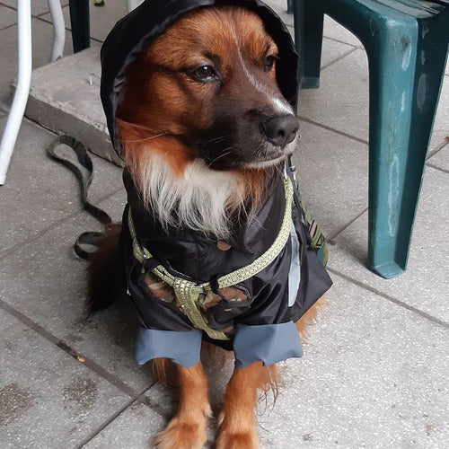 Piloto Impermeable Para Perro Hecho A Medida. 4