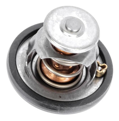 Thermostatic Valve for Ford Transit 3