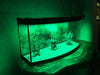 Master Curved Front Glass Aquarium 100x35x20/25 Cm 5mm 5