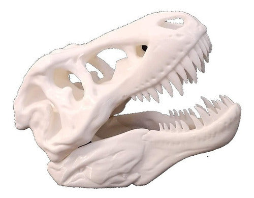 Dimension Premium Cabeza T-rex Plastico 3D Cara Dinosaurio Hueso Trex 0