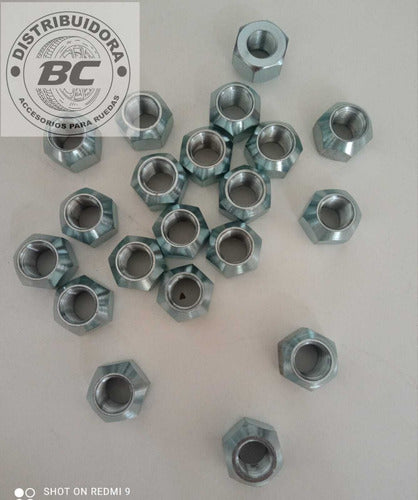 Kit of 10 Open Nuts for Ford F-100, F-150 - Falcon 1/2 NF 2